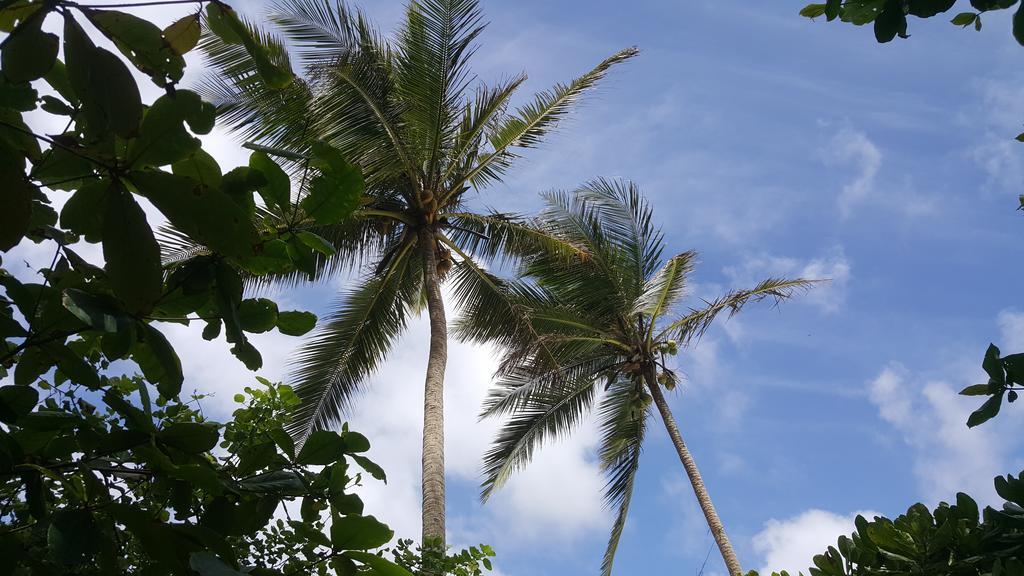 Rumassala Villas Unawatuna Eksteriør bilde